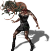 Gorgone ZM