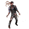 Hip ZM