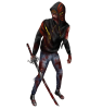 Ichigo Z v2